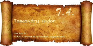 Temesváry Andor névjegykártya
